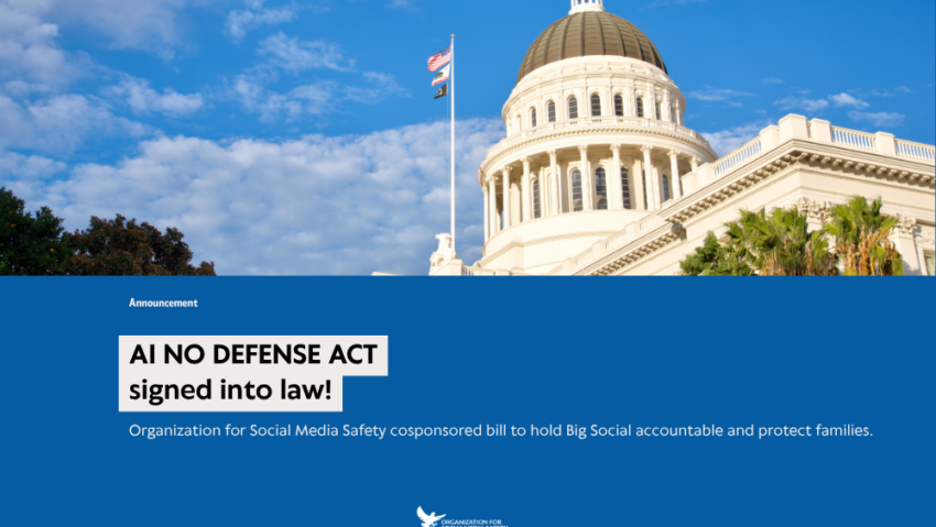 AI NO DEFENSE ACT is Law